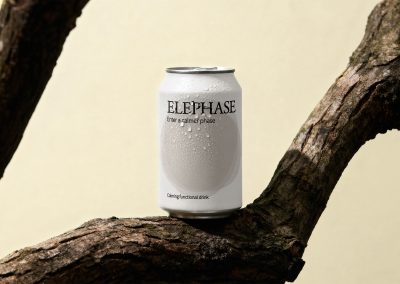 Elephase